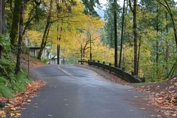 Obraz premium Stunning Multnomah Falls in Springtime, Oregon: A Vibrant Background with Bridge Overlooking the Cascading Waters