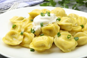 Tasty dumplings with green onion and sour cream on table, closeup