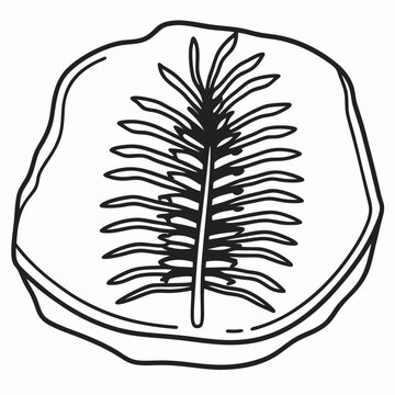 black and white fossil plant on rock clip art preview