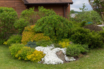 Flowering carpet Phlox subulata (creeping phlox, moss phlox) in a modern garden. Groundcover flowering plant Phlox subulata in modern landscaping. White and pink carpet of flowers creeping phlox