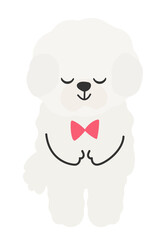目を閉じてお辞儀をする白いモコモコの犬のイラスト　マルチーズ　ビションフリーゼ　トイプードル