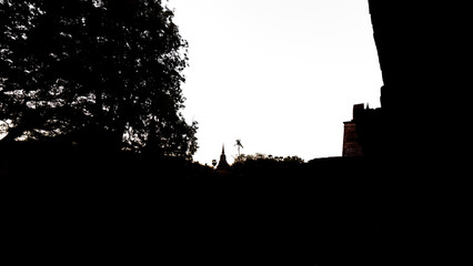 Monochrome Serenity: Ancient Chedi Amidst Trees