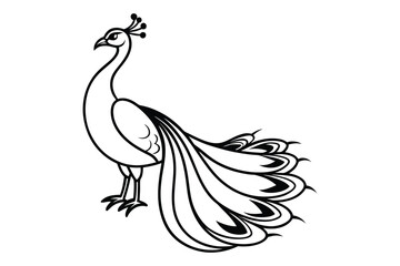 Obraz premium Majestic Peacock Line Art Elegant Bird Outline for Luxury Designs