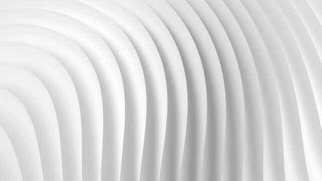 Abstract flowing white background. Seamless looping curve line waves animation.