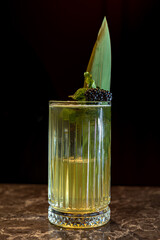 Green Cocktail with Aloe Leaf, Blackberry, and Mint or Aloe Spritz