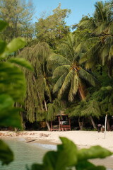 gazebo on the edge of the white sand beach with a view of trees and several coconut trees, with a...