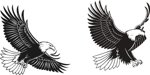 eagle in flight