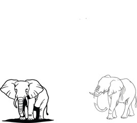 elephant vector illustration