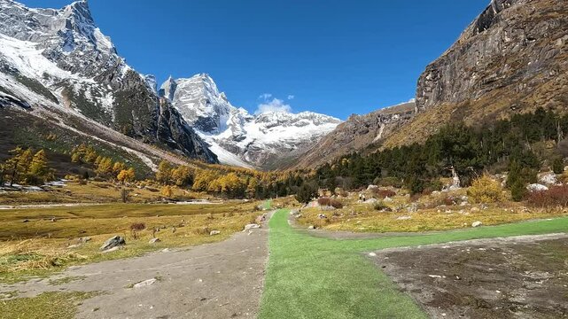 Landscape Bipenggou Valley - Yanziyanwo view point of  Yellow Tree and stream  with Snow Mountain  in Mount Bipenggou National Park in Xiaojin Sichuan Province China - Dolly in Footage Autumn 