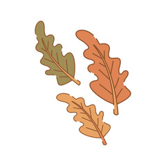 Oak Leaves Illustration