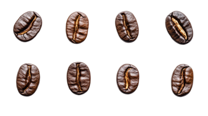 Eight roasted coffee beans isolated on transparent background