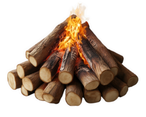 bonfire style campfire with large wooden logs burning brightly, creating warm and inviting atmosphere. flames dance and flicker, providing light and warmth
