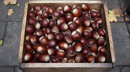 Obraz premium Wooden Box Filled with Hazelnuts Autumn Harvest