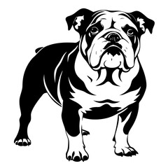 Obraz premium a stylized illustration of a muscular english bulldog standing proud. The dog has a wrinkled face, a sturdy build, and a confident stance.