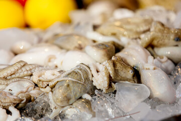 Close-up of fresh and chilled seafood displayed on store shelves. Concept of seafood, grocery shopping and healthy eating.