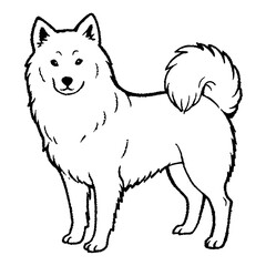 Fototapeta premium a line art image of a charming samoyed dog with fluffy fur and a smiling expression. The image is a black and white illustration.