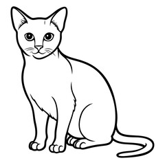 Fototapeta premium a sitting cat in black and white, in a minimalist drawing style