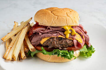 roast beef  cheese burger with a side of fries