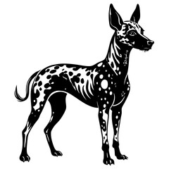Obraz premium a black and white dog illustration with distinctive spots. The dog stands proudly, showcasing its unique pattern