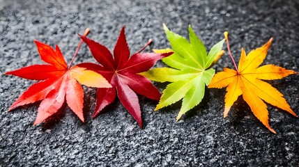 Vibrant Autumn Maple Leaves on Dark Stone Background