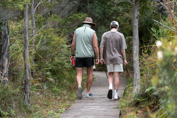 family hiking up a mountain on an adventure in summer in australia together