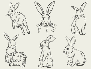 Cute hand drawn line art rabbit isolated on a transparent base, Happy Chinese new year logo
