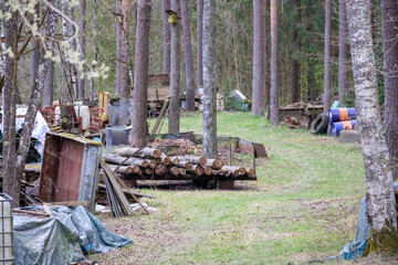 
A forest landscape with many trees and various objects placed between them.