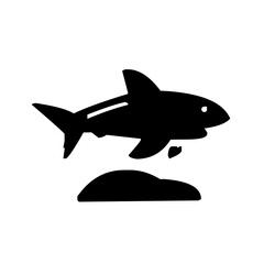 vector illustration of a shark