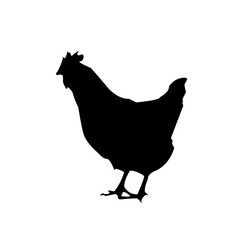 silhouette of a chicken