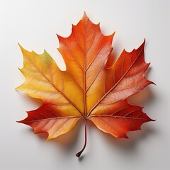 Obraz premium a vibrant, colorful maple leaf with autumn hues, showcasing intricate details of veins and textures