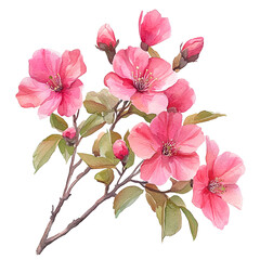 A watercolor painting of pink flowers and branches with green leaves.