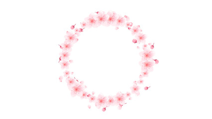 spring sakura flowers blossom circle frame on transparent background, png Japanese cherry blossom and petals isolated design element	