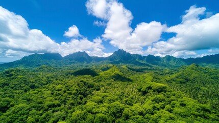 Obraz premium Lush Green Tropical Landscape with Mountainous Backdrop and Blue Sky and White Clouds