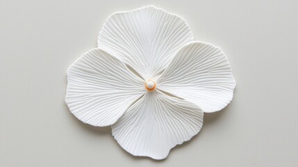 White flower with orange center