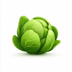 Fototapeta premium Vibrant Green Cabbage