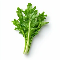 Fresh Komatsuna Greens