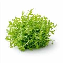 Obraz premium Fresh Green Arugula Bunch