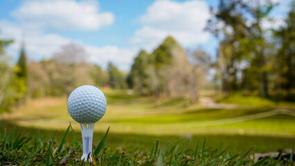 Golf ball on green grass in the evening golf course with sunshine background.