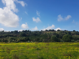 Paesaggio