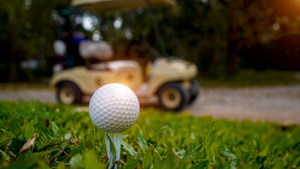 Golf ball on green grass in the evening golf course with sunshine background.