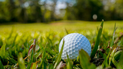 Golf ball is on a green lawn in a beautiful golf course with morning sunshine.