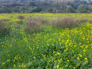 Paesaggio