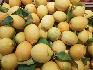 Ortaggi e frutta