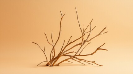 Obraz premium A branch with no leaves or flowers.