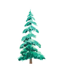 Fir-tree, spruce watercolor illustration, isolated on a white background