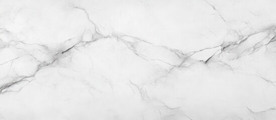 Fototapeta premium Ultra-realistic Minimalistic White and Gray Marble Texture with Detailed Veins Seamless Pattern for Interior Design and Wallpaper