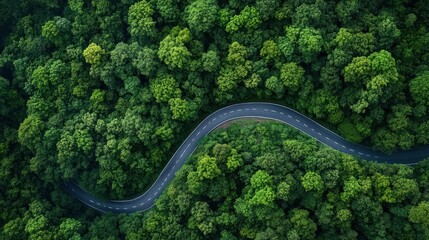 Aerial view of winding asphalt road in green forest with car driving through beautiful landscape