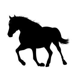 horse silhouette vector