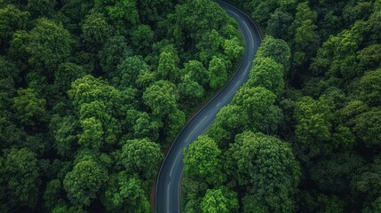 Aerial View of Electric Vehicle Driving on Winding Asphalt Road Through Dense Green Forest