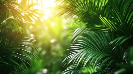 Obraz premium Tropical foliage, sunlight filtering through lush green leaves